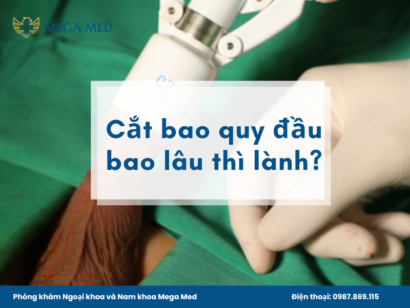 Cắt bao quy đầu bao lâu thì lành hẳn?